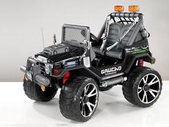 Gaucho SuperPower 24V