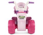 Mini Fairi 6
