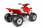 Polaris Outlaw 330W 6