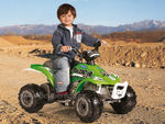 Corral Bearcat 5
