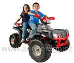 Polaris Sportsman 850 24V Silver 8