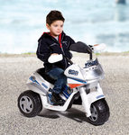 Raider Police 3